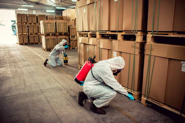 Best Flea Control Services  in Inman, KS