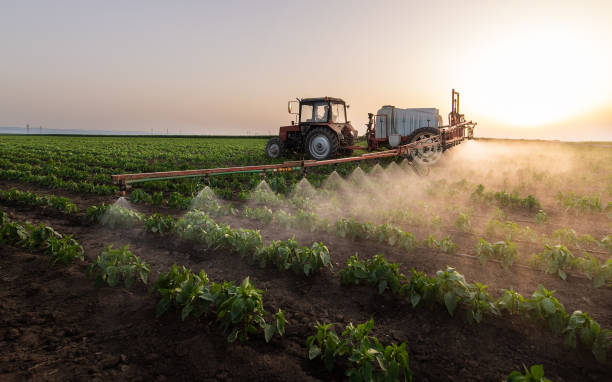 Best Pest Control for Homes  in Inman, KS