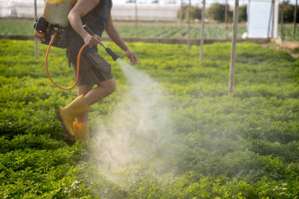 Best Mosquito Control Services  in Inman, KS