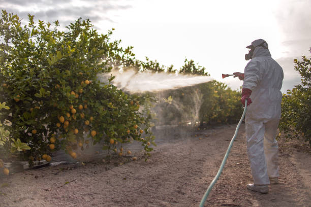 Best Pest Removal Services  in Inman, KS
