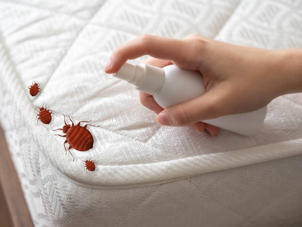 Best Commercial Pest Control Services  in Inman, KS